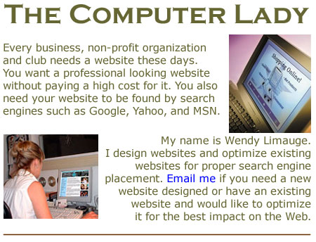 Web design, web designer, affordable, The Computer Lady, Connecticut, website optimization, search engine placement