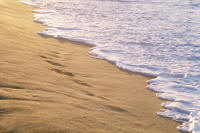 travel photographs, clipart, animation, animated gifs, free clipart, free graphics, icons, buttons