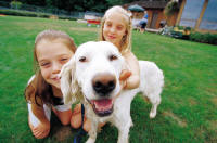 family friends pets photographs, clipart, animation, animated gifs, free clipart, free graphics, icons, buttons