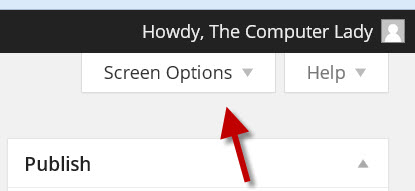 wordpress screen options