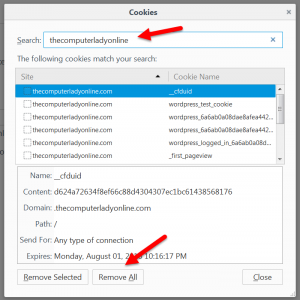 How to Remove Individual Cookies from Firefox