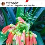 How to add a Location or Geotag a Photo or Video on Instagram
